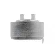 Radiateur d'huile TEKNÖR CCL-NS-001 - Visuel 3