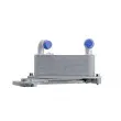 Radiateur d'huile de boîte automatique TEKNÖR CCL-VW-003 - Visuel 3