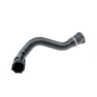 Durite de radiateur TEKNÖR CPP-BM-021