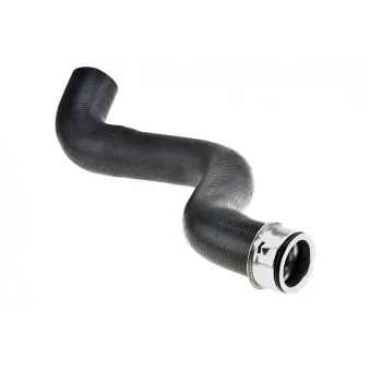 Durite de radiateur TEKNÖR CPP-ME-001