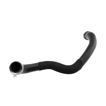 Durite de radiateur TEKNÖR CPP-ME-026