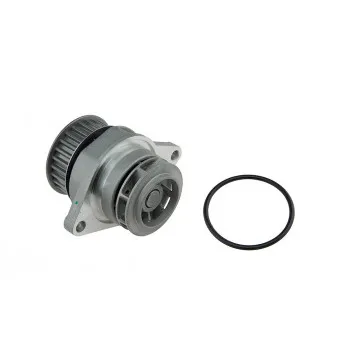 Pompe à eau TEKNÖR CPW-AU-025