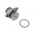 Pompe à eau TEKNÖR CPW-AU-025 - Visuel 2