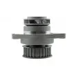 Pompe à eau TEKNÖR CPW-AU-025 - Visuel 3
