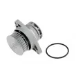 Pompe à eau TEKNÖR CPW-AU-031 - Visuel 2