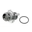 Pompe à eau TEKNÖR CPW-AU-035 - Visuel 1