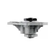 Pompe à eau TEKNÖR CPW-AU-040 - Visuel 3