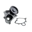 Pompe à eau TEKNÖR CPW-BM-030 - Visuel 2