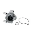 Pompe à eau TEKNÖR CPW-BM-036 - Visuel 1