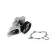 Pompe à eau TEKNÖR CPW-BM-039 - Visuel 2