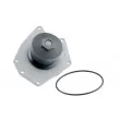 Pompe à eau TEKNÖR CPW-CH-005 - Visuel 1