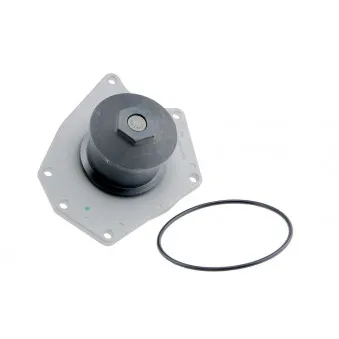 Pompe à eau TEKNÖR CPW-CH-005