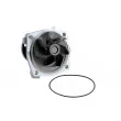 Pompe à eau TEKNÖR CPW-CH-008 - Visuel 1