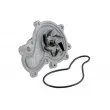 Pompe à eau TEKNÖR CPW-CH-015 - Visuel 1
