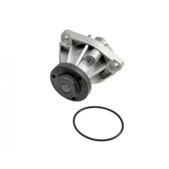 Pompe à eau TEKNÖR CPW-CH-030
