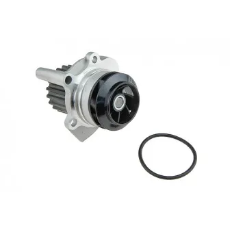 Pompe à eau TEKNÖR CPW-CH-037