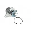 Pompe à eau TEKNÖR CPW-CT-027 - Visuel 1
