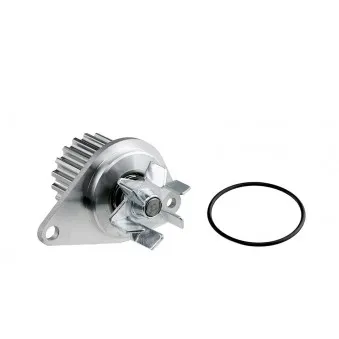Pompe à eau TEKNÖR CPW-CT-031