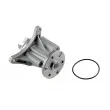 Pompe à eau TEKNÖR CPW-CT-033 - Visuel 2