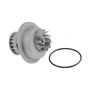 Pompe à eau TEKNÖR CPW-DW-002