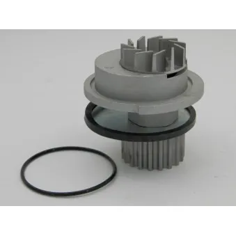 Pompe à eau TEKNÖR CPW-DW-003