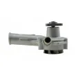 Pompe à eau TEKNÖR CPW-FR-021 - Visuel 3