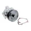 Pompe à eau TEKNÖR CPW-FR-051 - Visuel 2