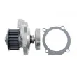 Pompe à eau TEKNÖR CPW-FT-034 - Visuel 3