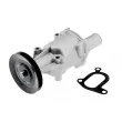 Pompe à eau TEKNÖR CPW-FT-045 - Visuel 1