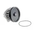 Pompe à eau TEKNÖR CPW-FT-065 - Visuel 2