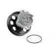 Pompe à eau TEKNÖR CPW-FT-082 - Visuel 1