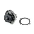 Pompe à eau TEKNÖR CPW-FT-085 - Visuel 2