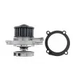 Pompe à eau TEKNÖR CPW-FT-086 - Visuel 3
