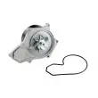 Pompe à eau TEKNÖR CPW-HD-051 - Visuel 1