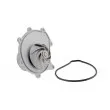 Pompe à eau TEKNÖR CPW-LR-003 - Visuel 1