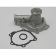 Pompe à eau TEKNÖR CPW-MS-031 - Visuel 2