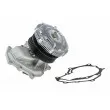Pompe à eau TEKNÖR CPW-NS-066 - Visuel 2