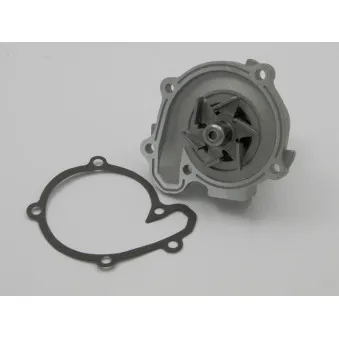 Pompe à eau TEKNÖR CPW-NS-071
