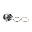 Pompe à eau TEKNÖR CPW-NS-085 - Visuel 1