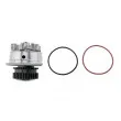 Pompe à eau TEKNÖR CPW-NS-085 - Visuel 3