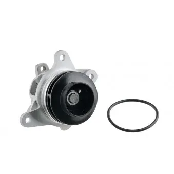 Pompe à eau TEKNÖR CPW-NS-089