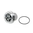 Pompe à eau TEKNÖR CPW-PE-010 - Visuel 1