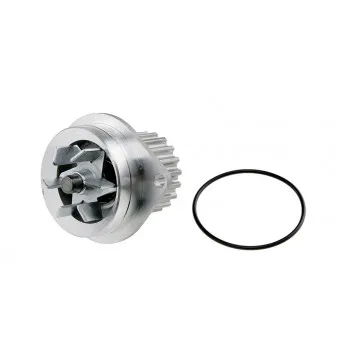 Pompe à eau TEKNÖR CPW-PE-010