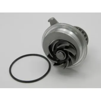Pompe à eau TEKNÖR CPW-PL-014