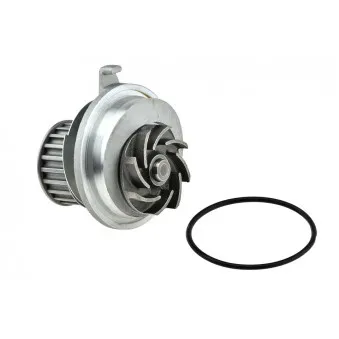 Pompe à eau TEKNÖR CPW-PL-019