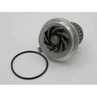 Pompe à eau TEKNÖR CPW-PL-020