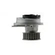 Pompe à eau TEKNÖR CPW-PL-021 - Visuel 3