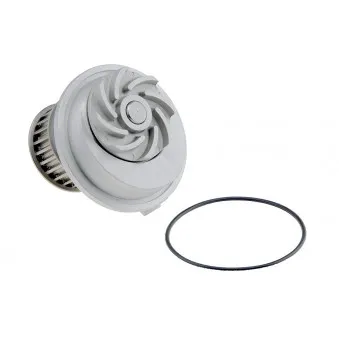 Pompe à eau TEKNÖR CPW-PL-023