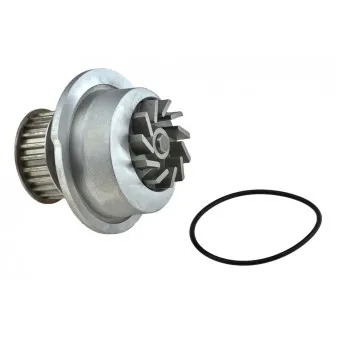 Pompe à eau TEKNÖR CPW-PL-024
