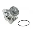 Pompe à eau TEKNÖR CPW-PL-027 - Visuel 2